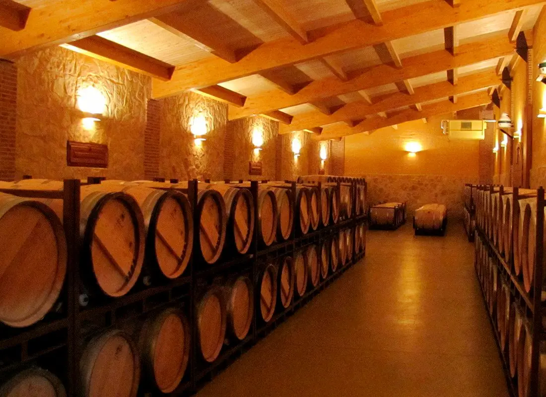Bodegas y viñedos